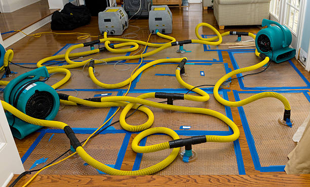 Professional Basement Flood Cleanup technician working in Hawk Point, MO